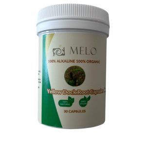 Yellow Dock Root 30 Capsules